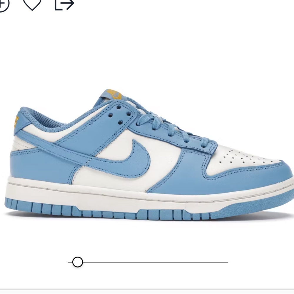 Nike Dunk Low
Coast (Women's)